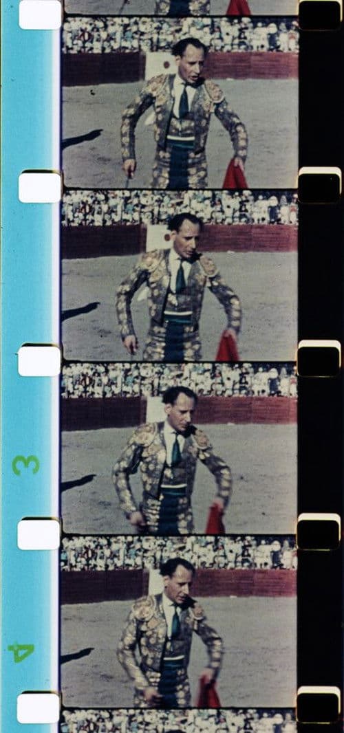 Poster backdrop for Course landaise