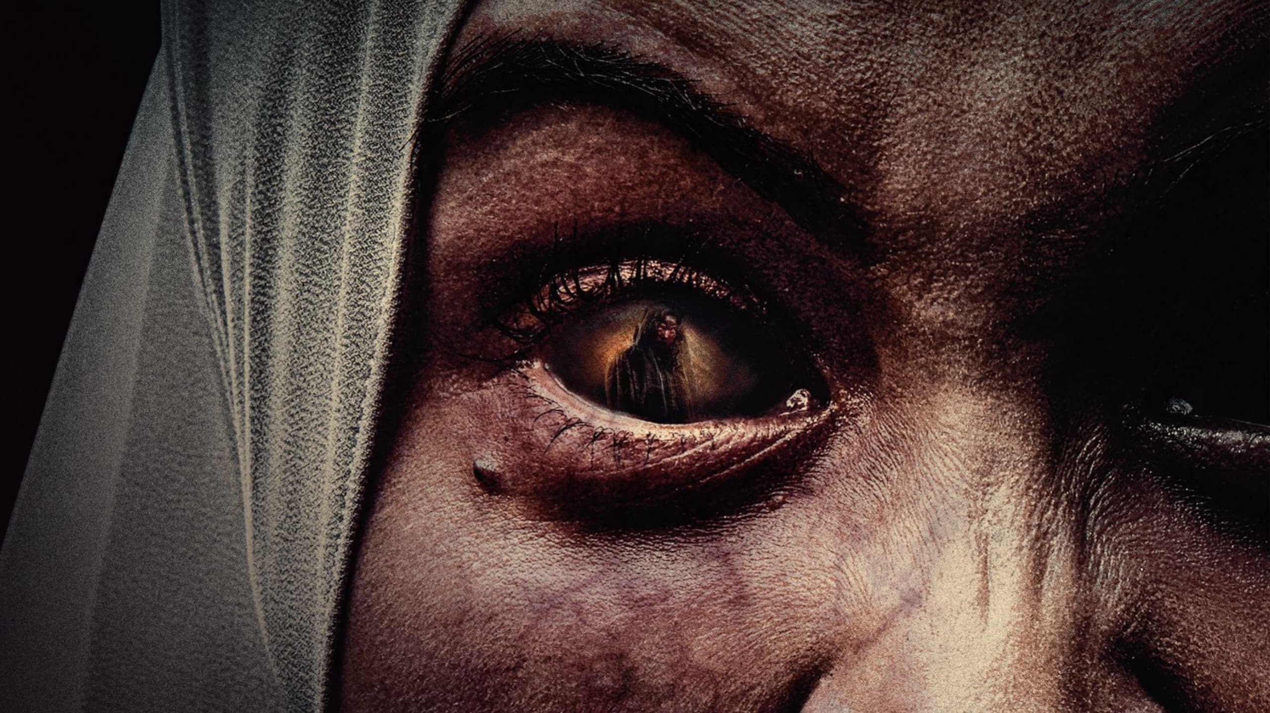 Poster backdrop for Dasim