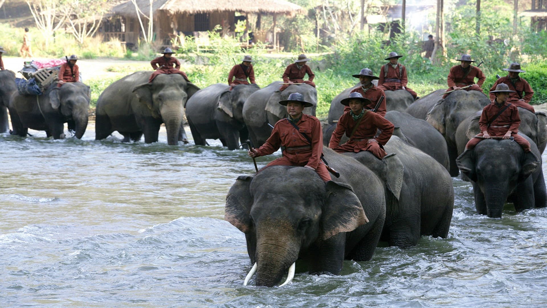 Poster backdrop for Sunny and the Elephant