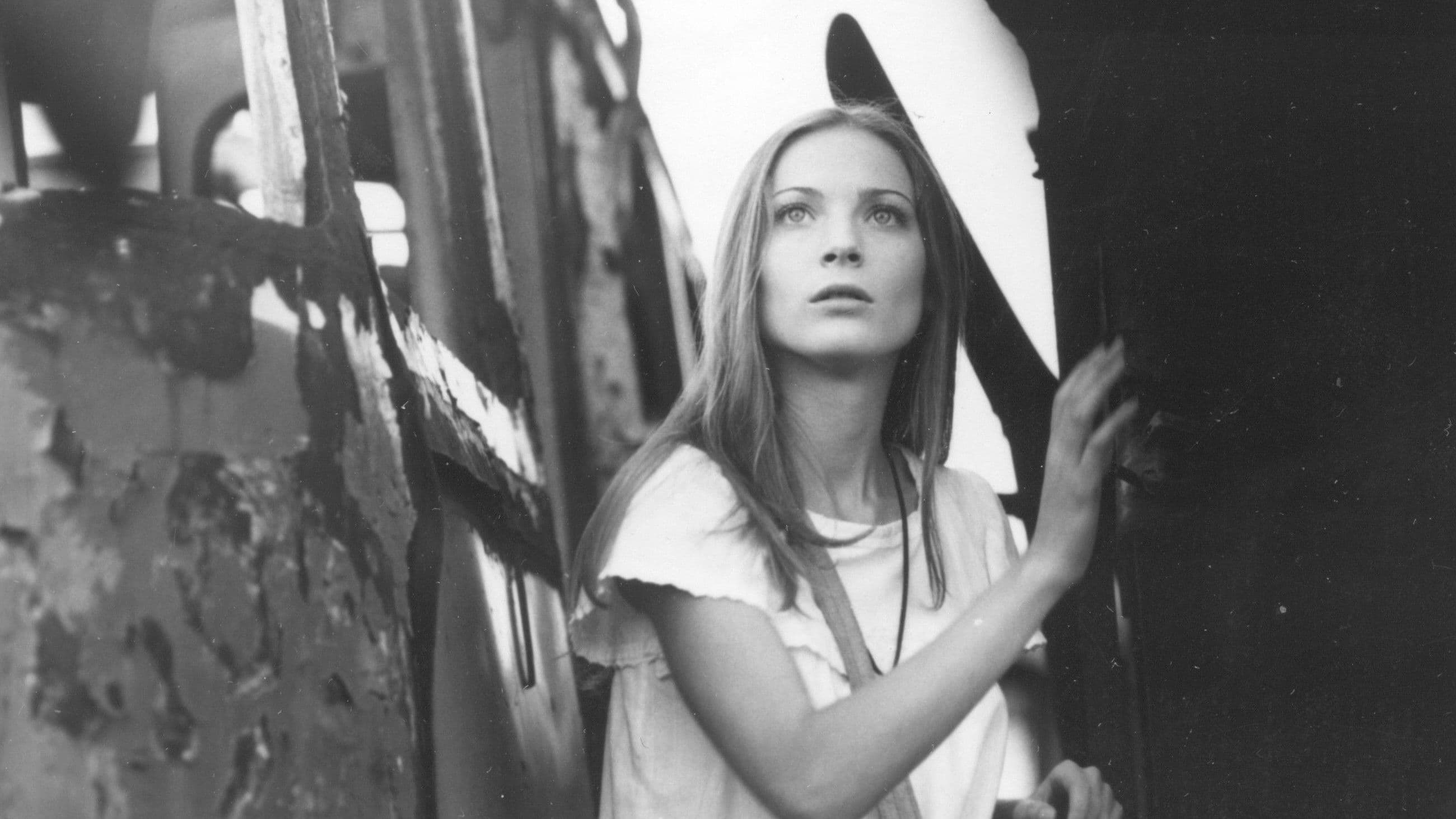 Poster backdrop for The Barrier