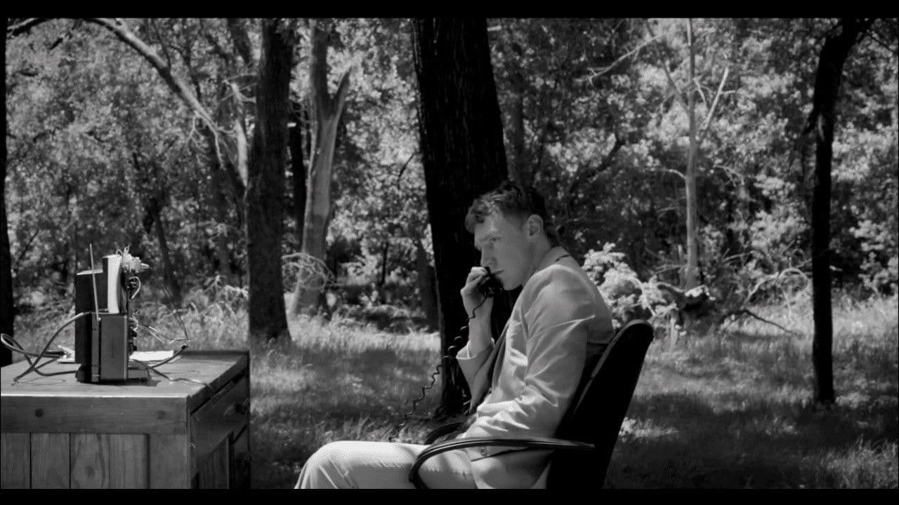 Poster backdrop for Vocation