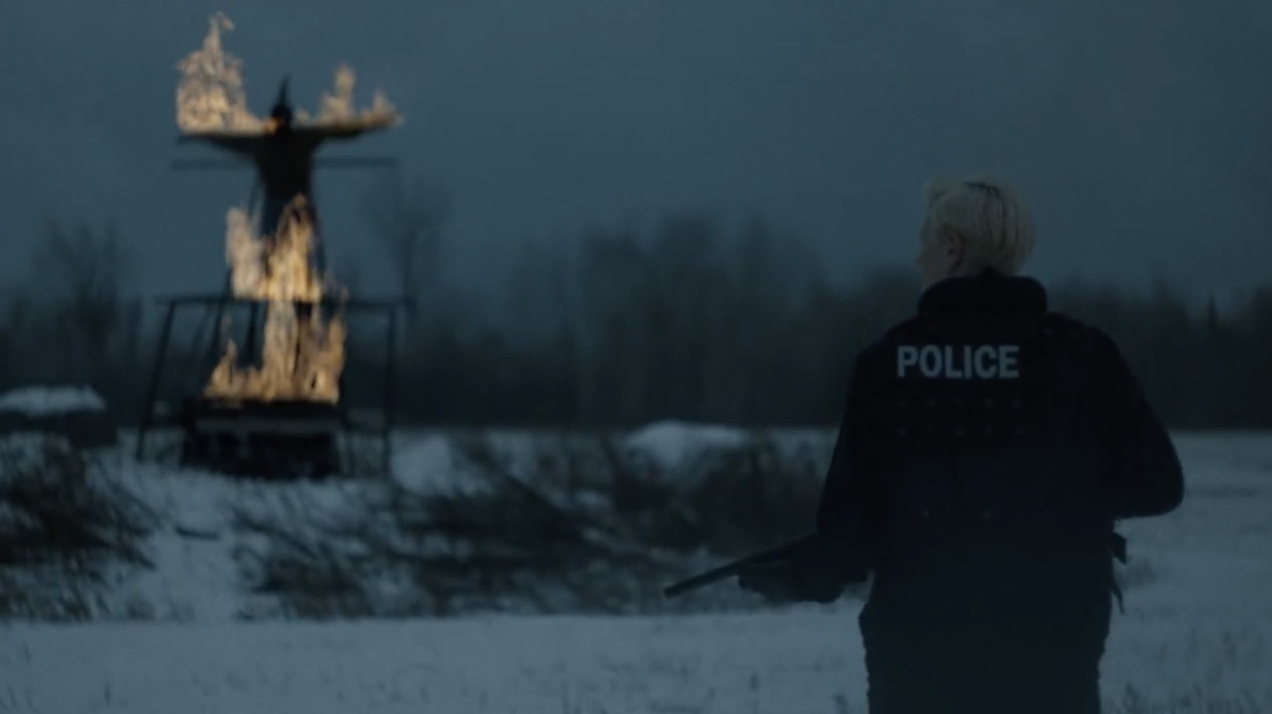 Poster backdrop for Ash & Dust