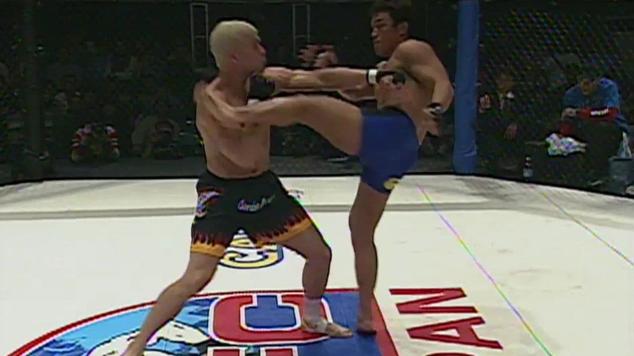 Poster backdrop for UFC 29: Defense of the Belts