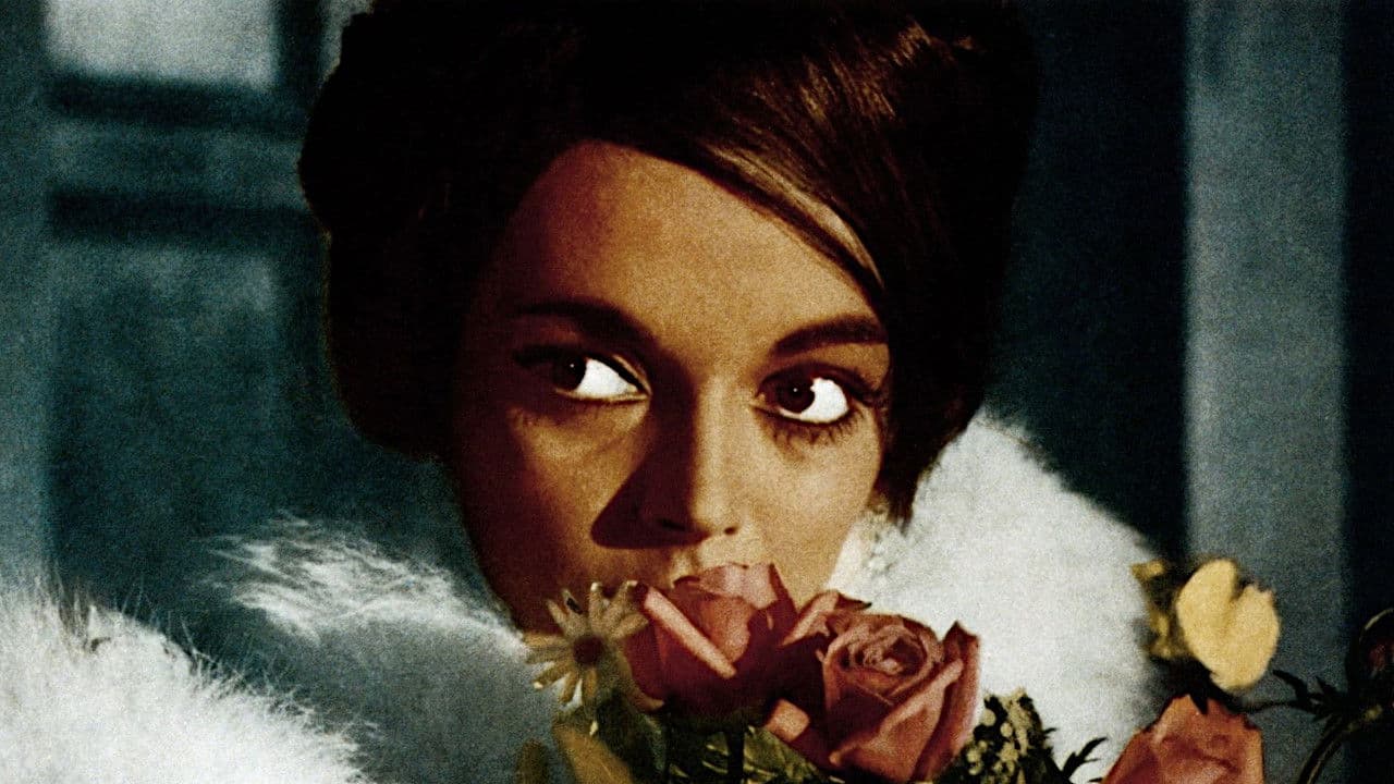 Poster backdrop for The Ghost