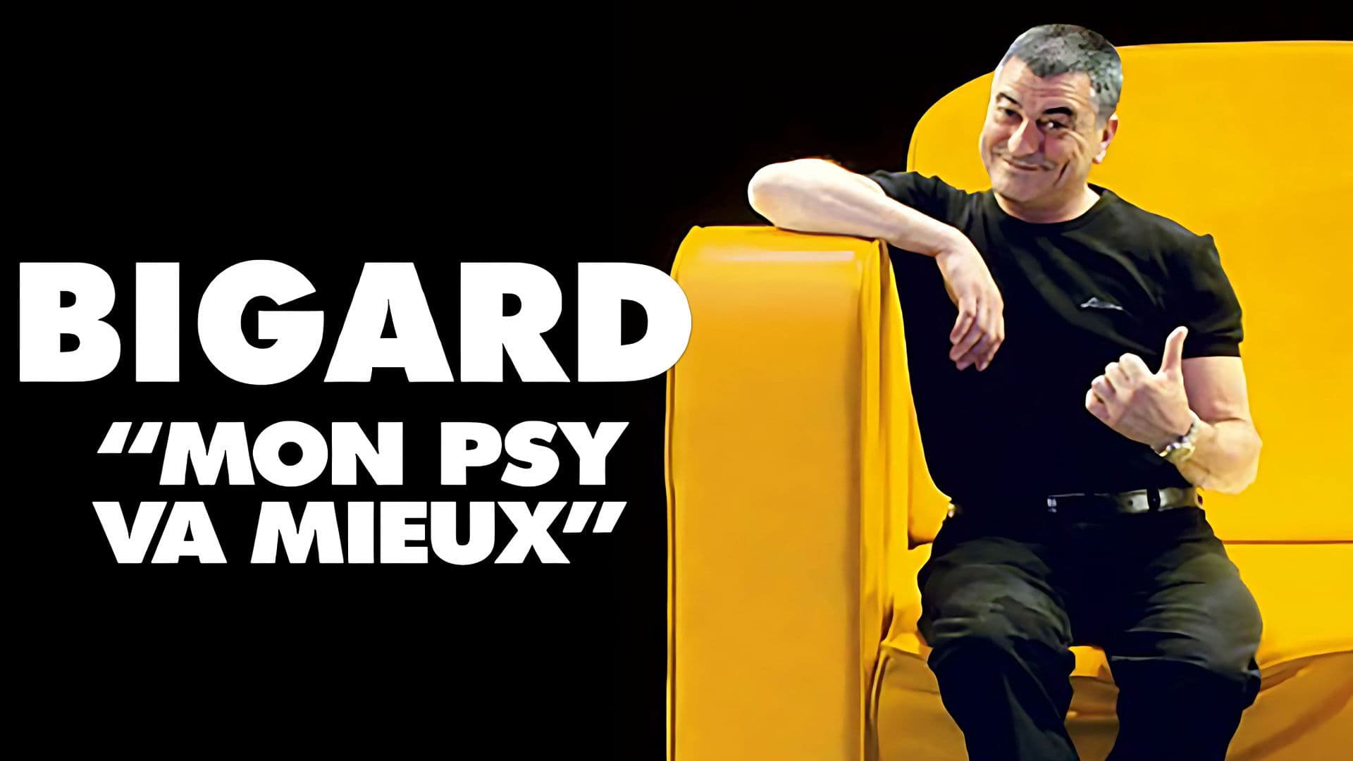Poster backdrop for Bigard - Mon Psy Va Mieux