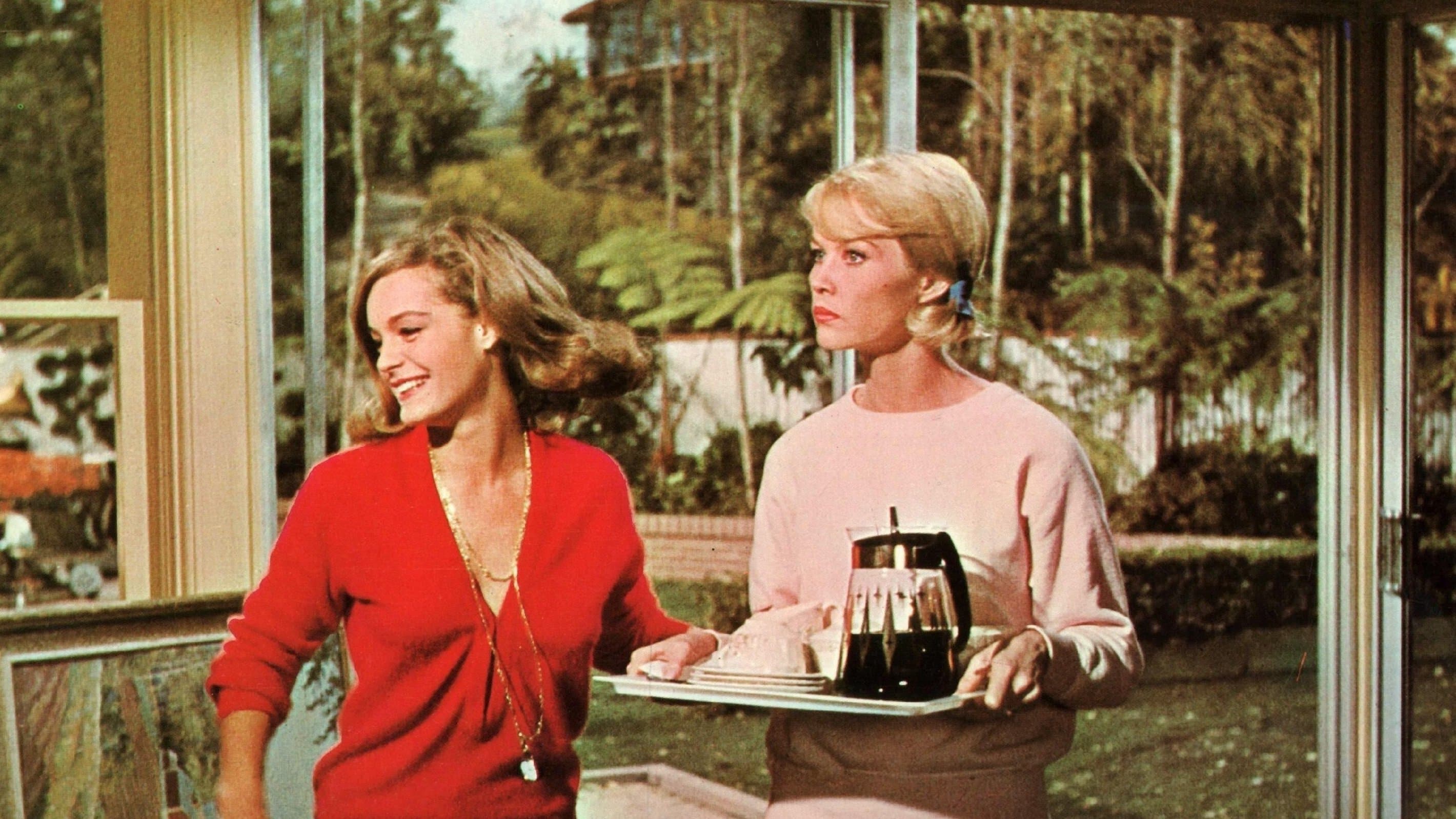 Poster backdrop for Good Neighbor Sam