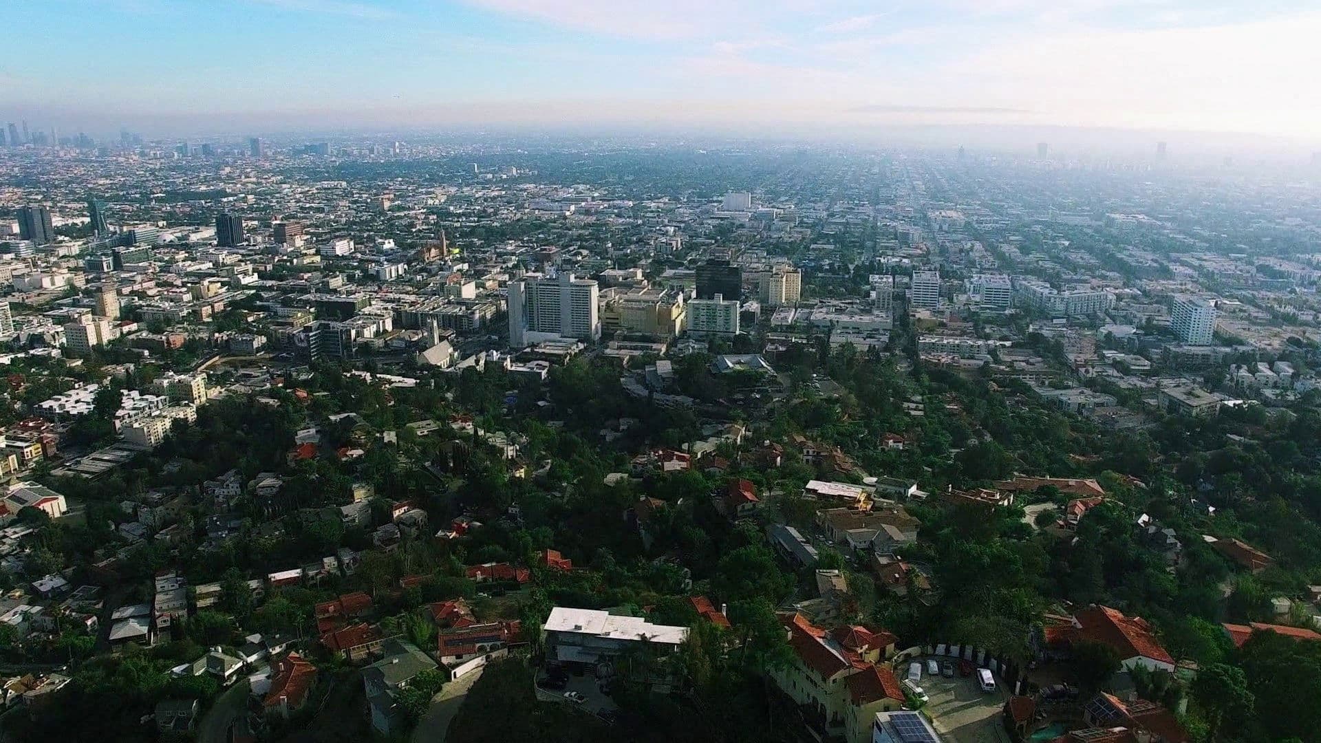 Poster backdrop for Porndemic