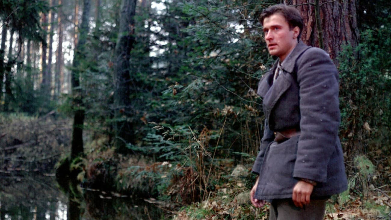 Poster backdrop for Crumbs of War