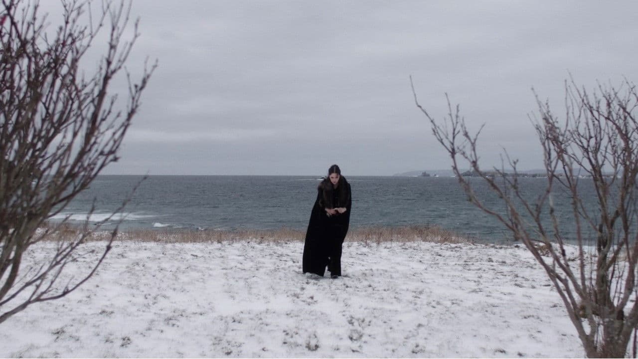 Poster backdrop for New Woman