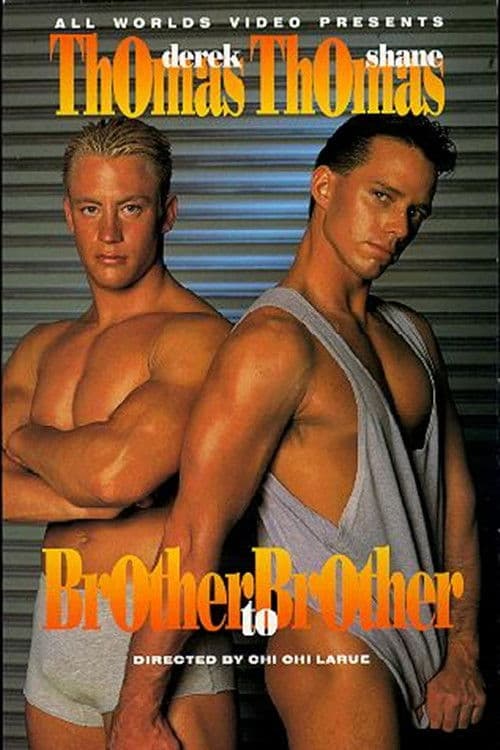 Poster backdrop for Brother to Brother