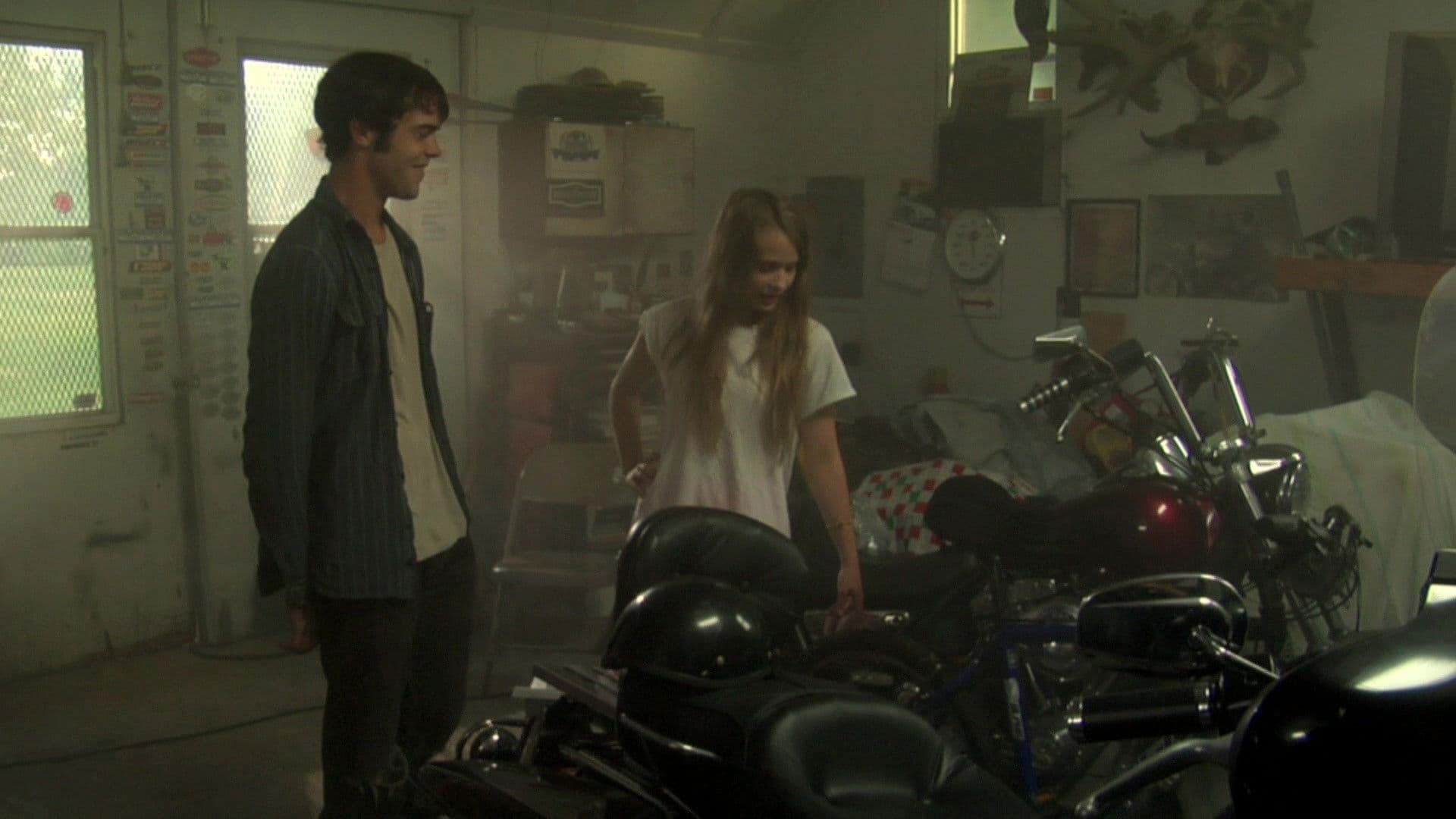 Poster backdrop for Indigo Children