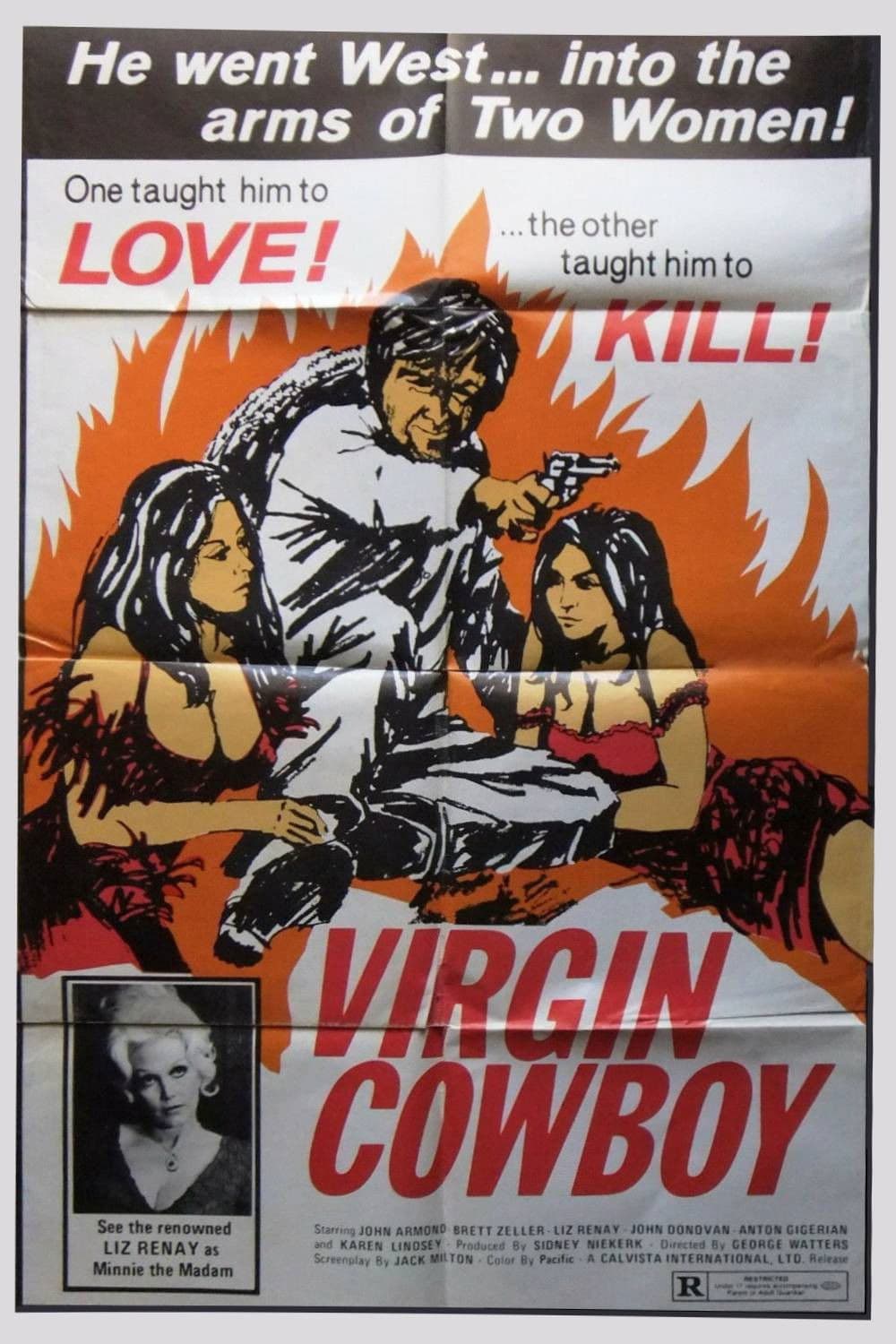 Poster backdrop for Virgin Cowboy