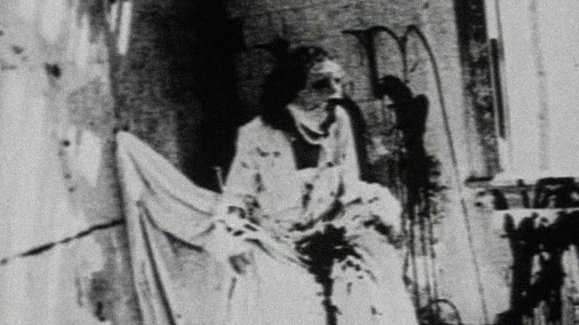 Poster backdrop for Begotten