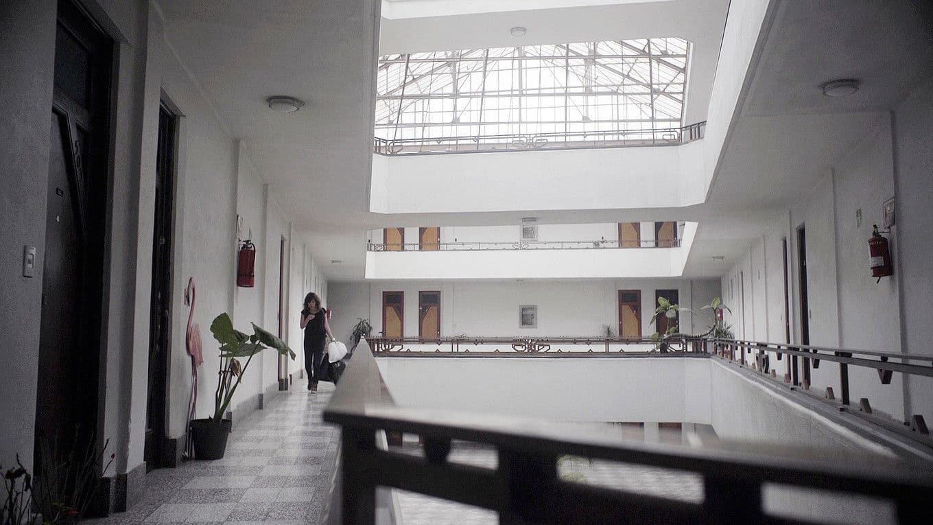 Poster backdrop for The Hermits