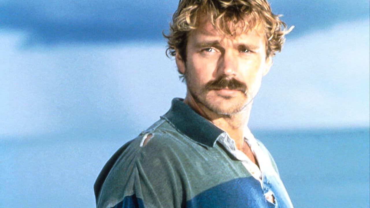 Poster backdrop for Desperate Journey: The Allison Wilcox Story