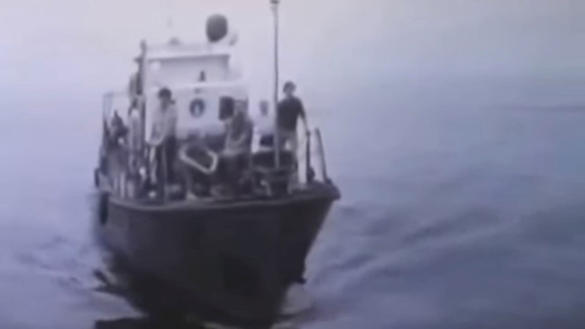 Poster backdrop for Mesozoic Story