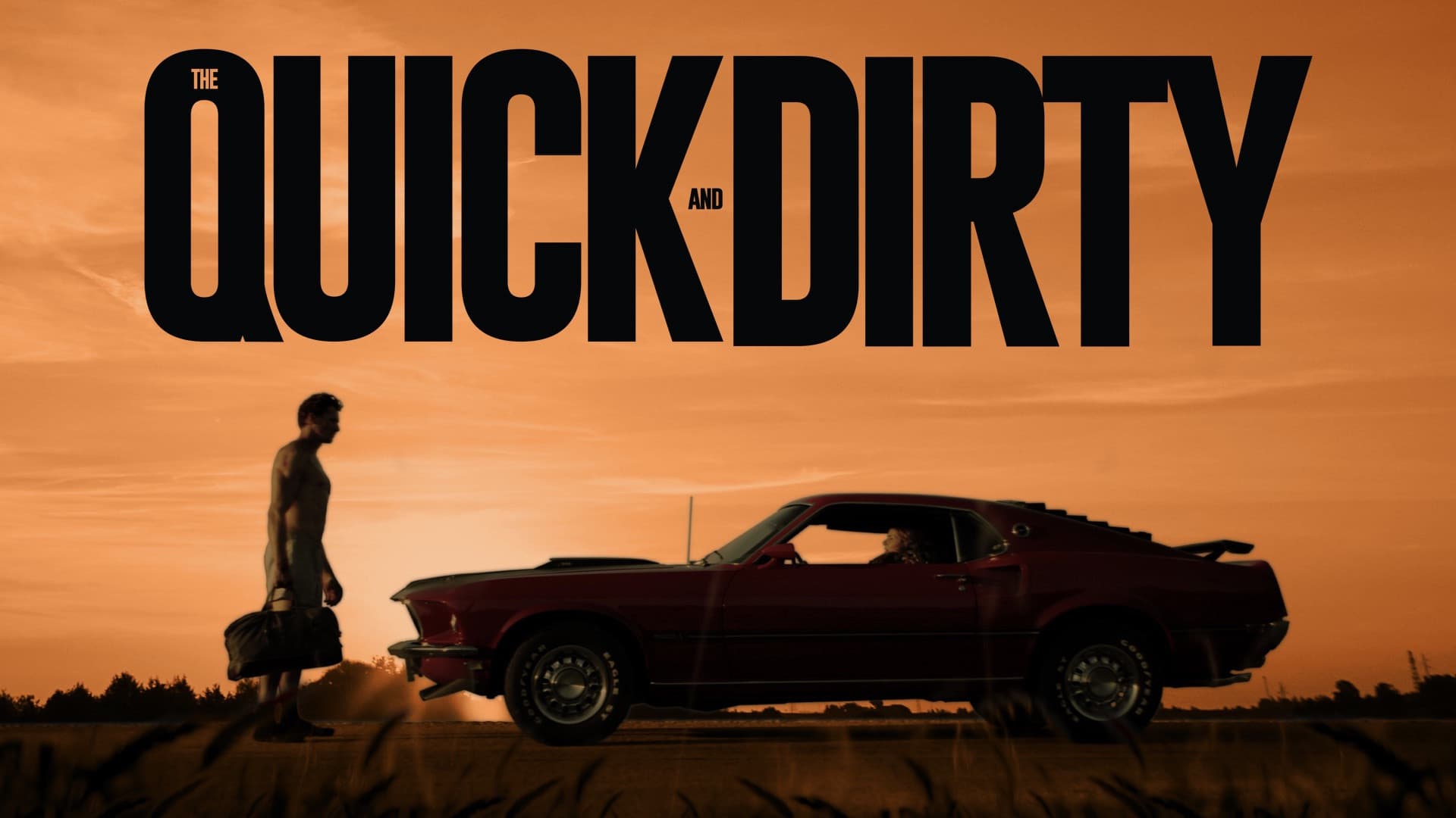 Poster backdrop for The Quick and Dirty