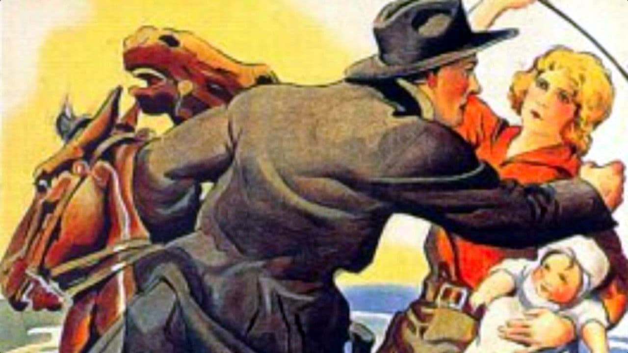 Poster backdrop for The Splendid Road