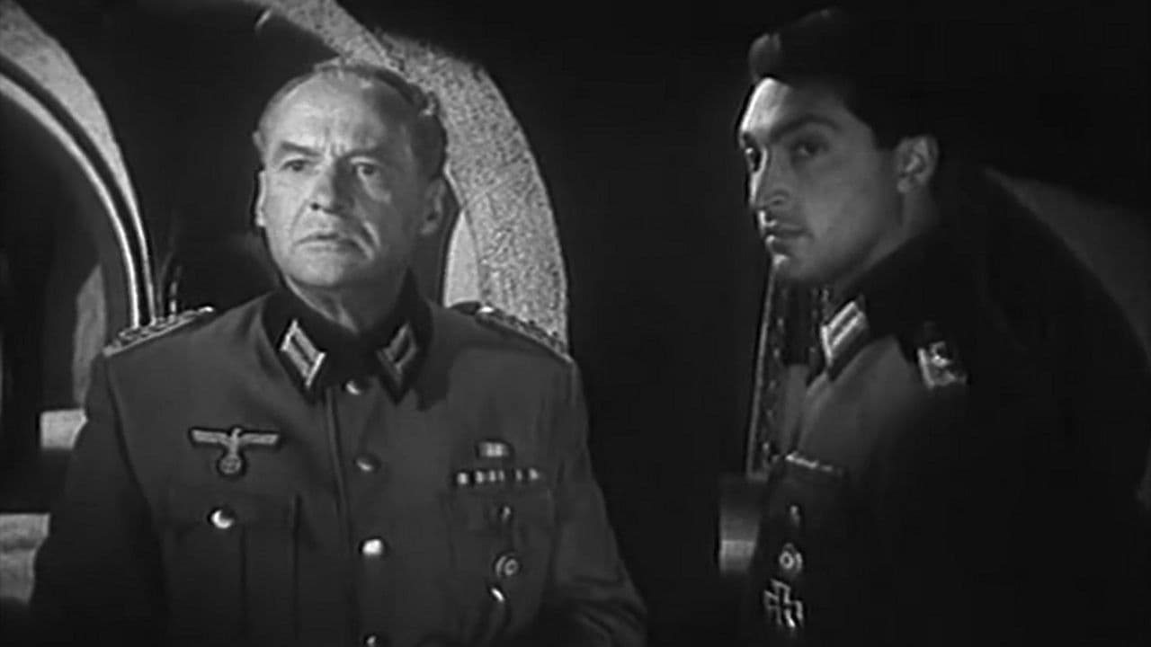 Poster backdrop for Far from the Motherland