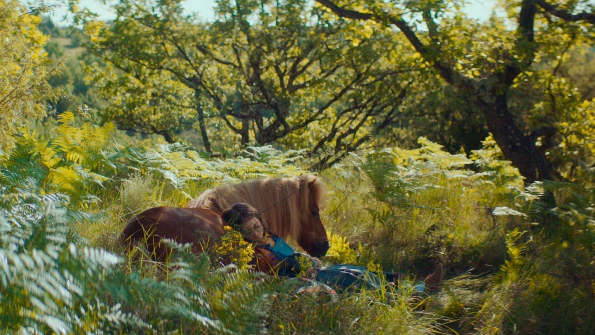 Poster backdrop for Poly