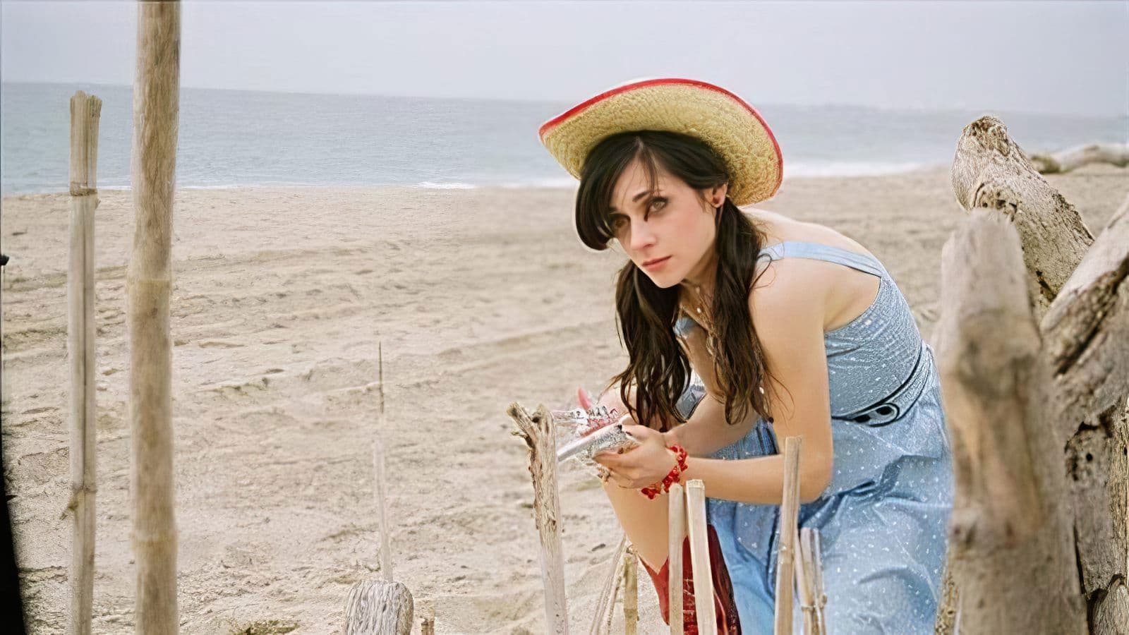 Poster backdrop for The Go-Getter