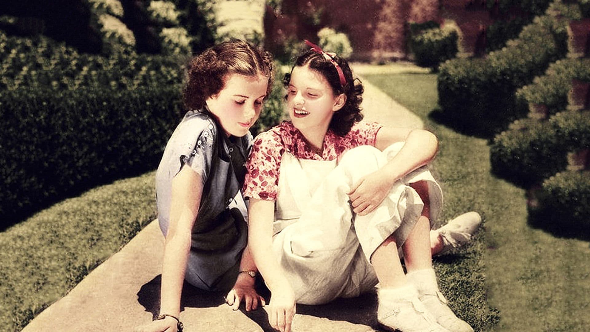 Poster backdrop for Every Sunday