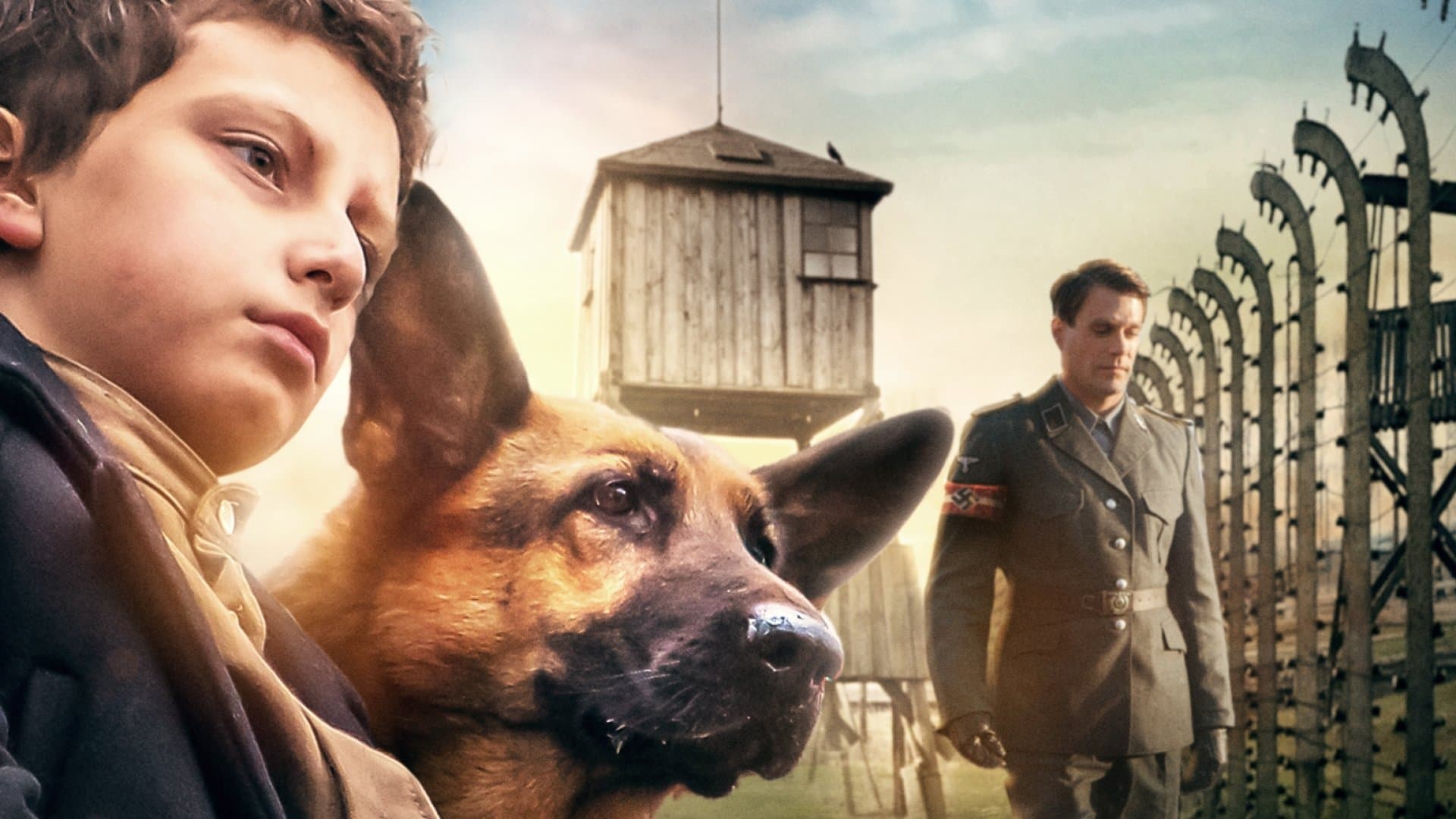 Poster backdrop for Shepherd: The Story of a Jewish Dog