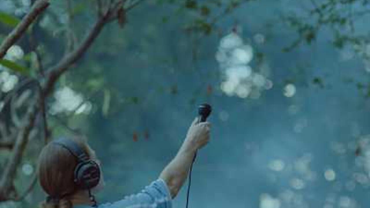 Poster backdrop for Hilda Hilst Pede Contato