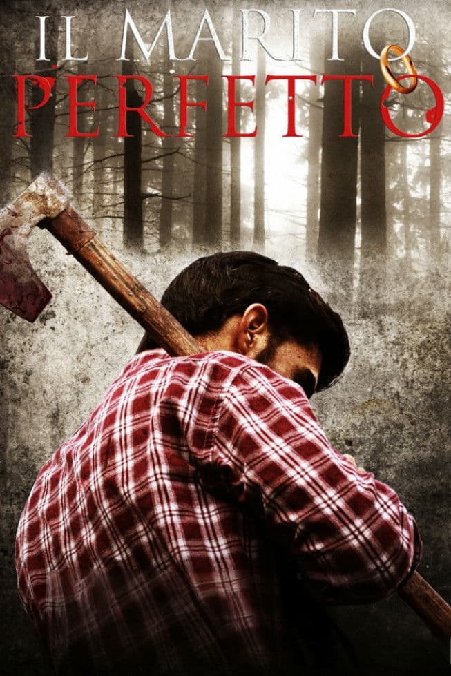 Poster backdrop for The Perfect Marriage