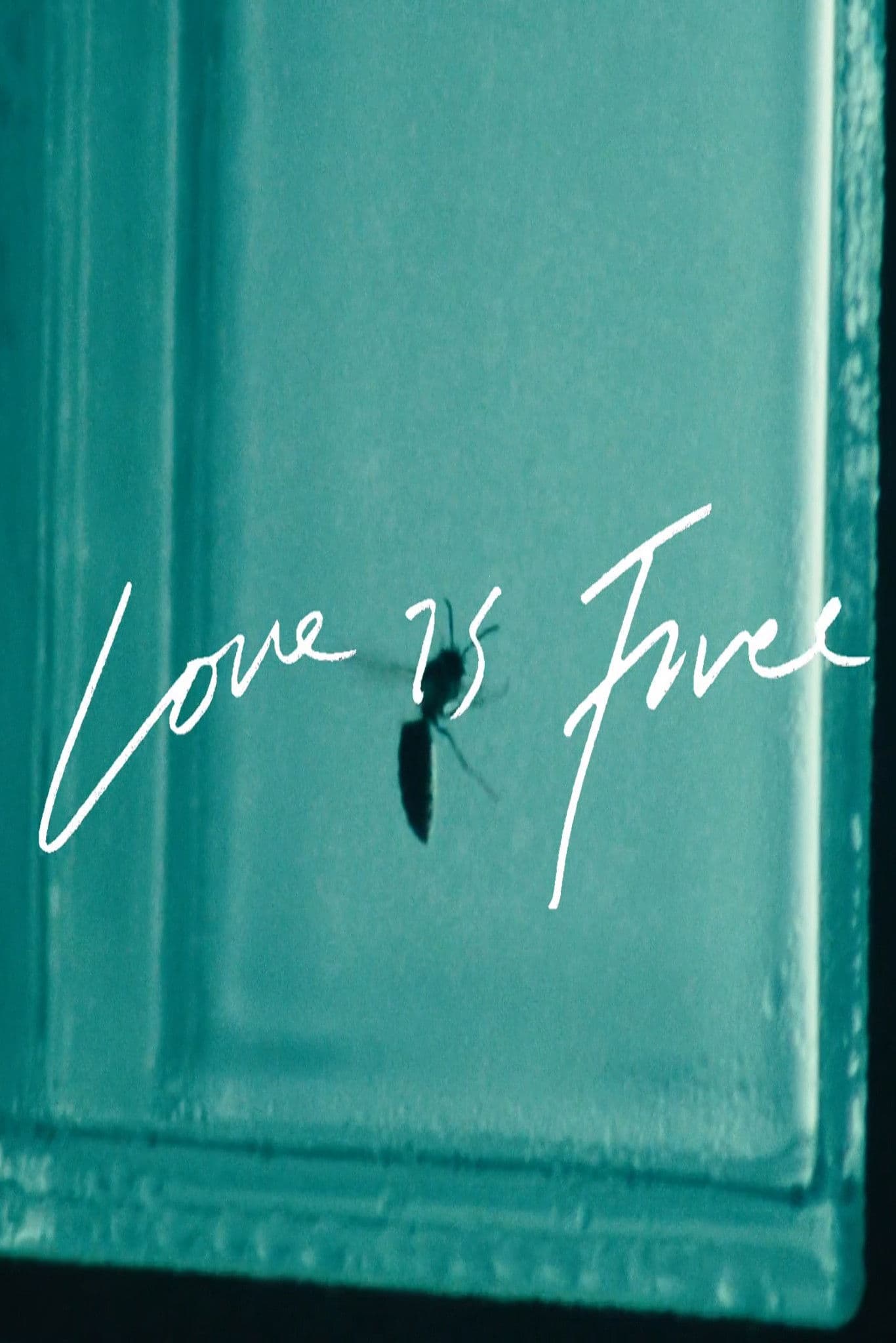 Poster backdrop for Love is Free