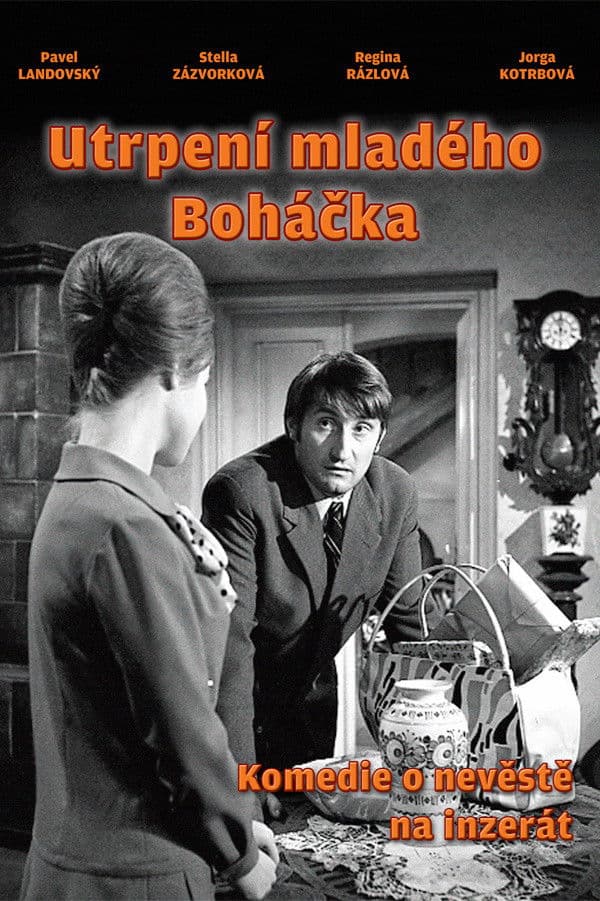 Poster backdrop for Young Bohácek's Sufferings