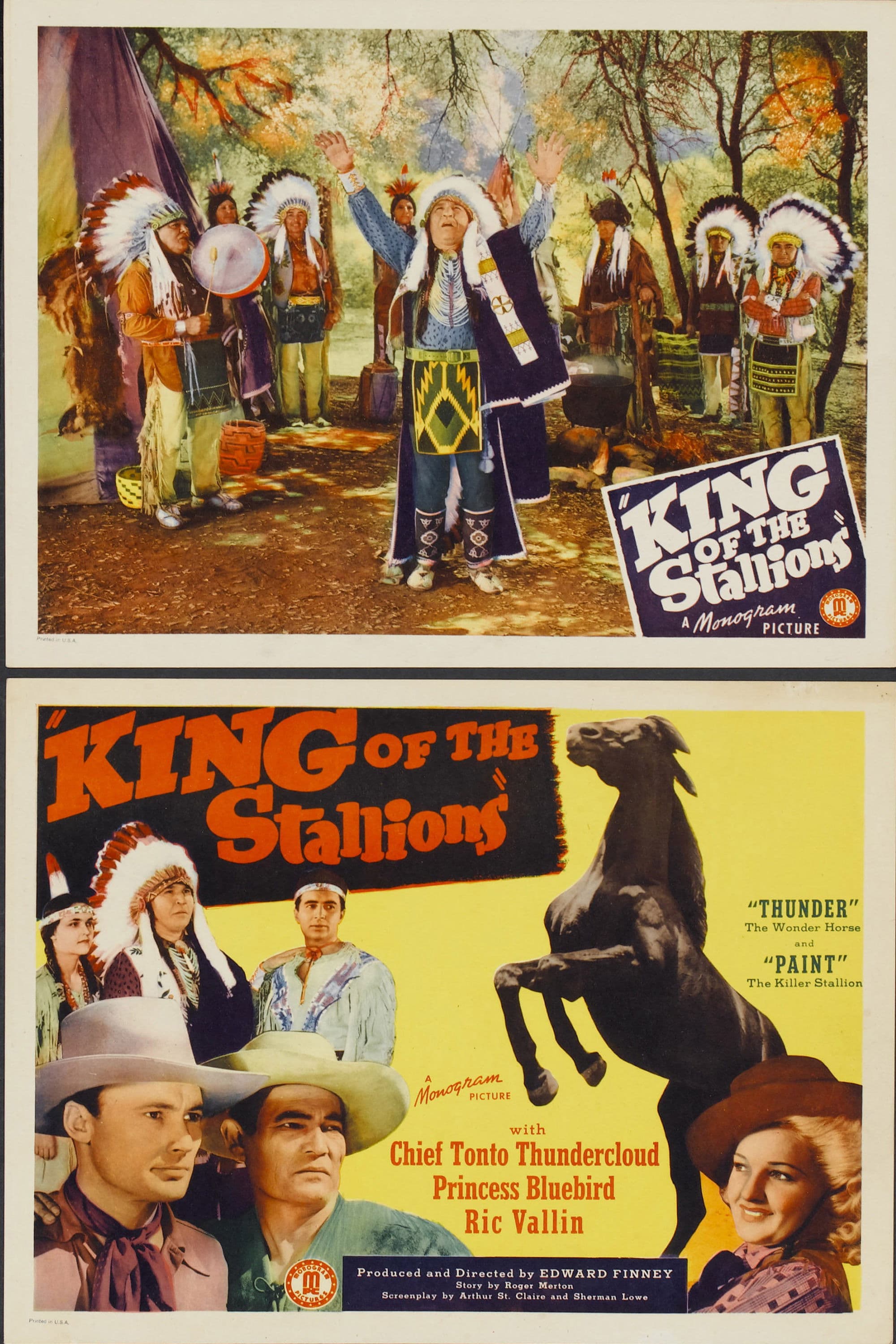 Poster backdrop for King of the Stallions