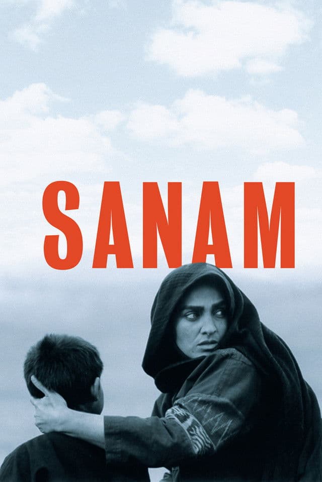 Poster backdrop for Sanam