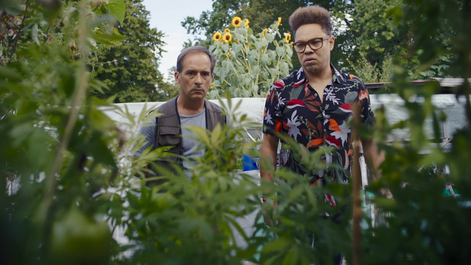 Poster backdrop for Eden für jeden