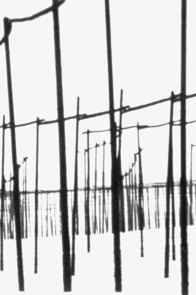 Poster backdrop for Der weiße Hopfengarten