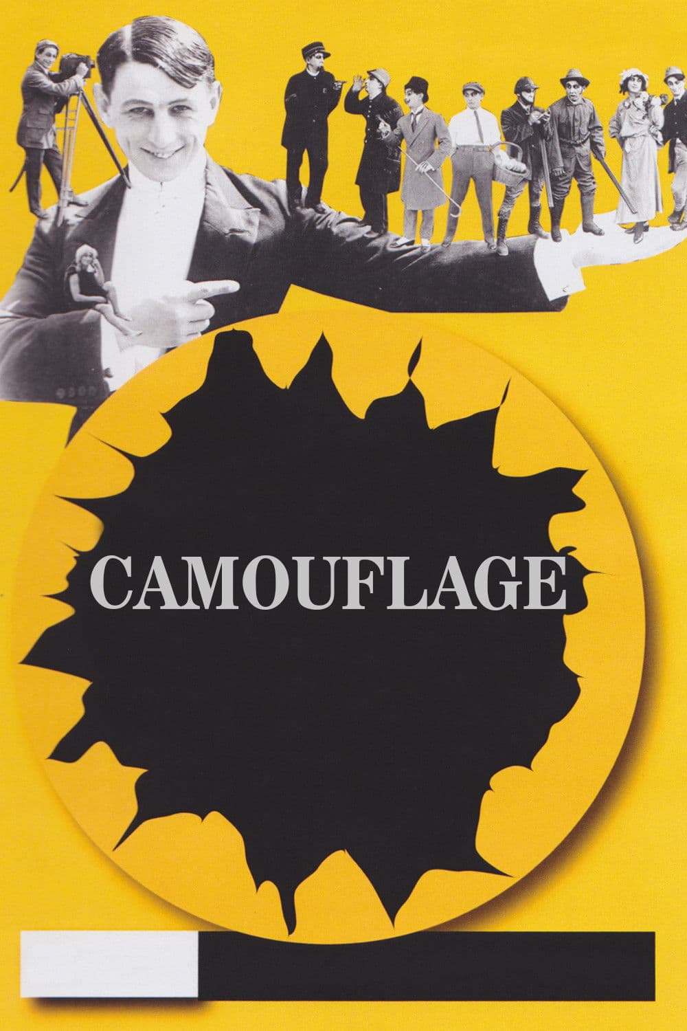 Poster backdrop for Camouflage