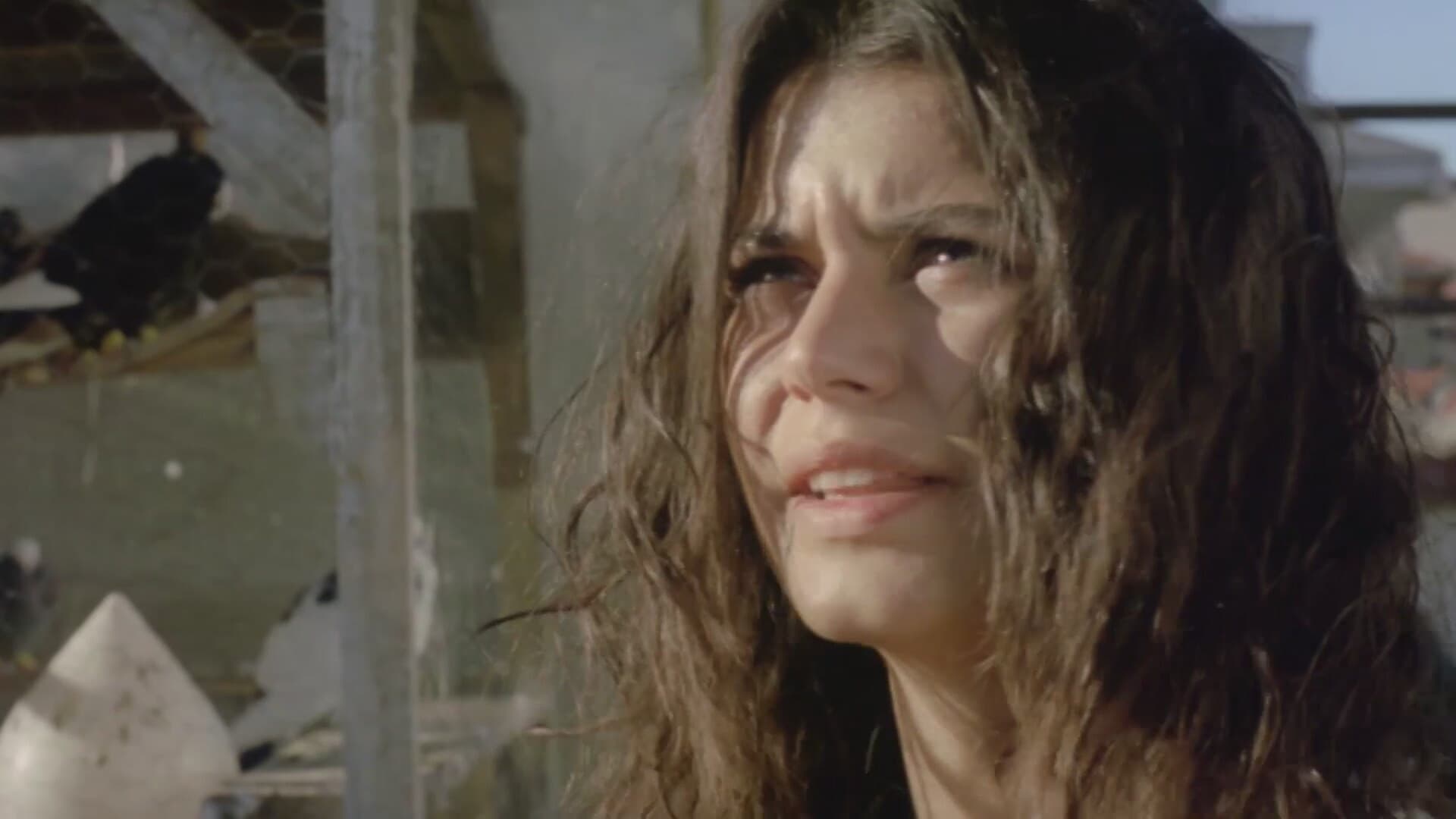 Poster backdrop for Wings of the Night