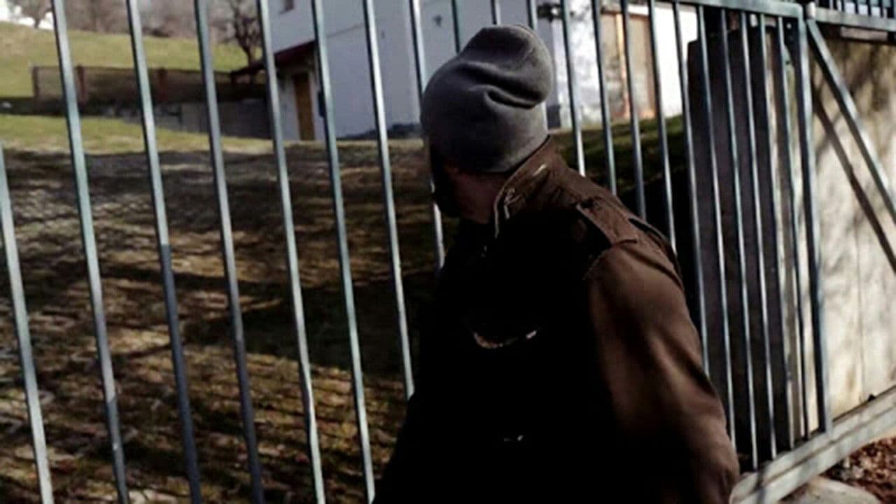 Poster backdrop for 3 Women or Waking Up from My Bosnian Dream