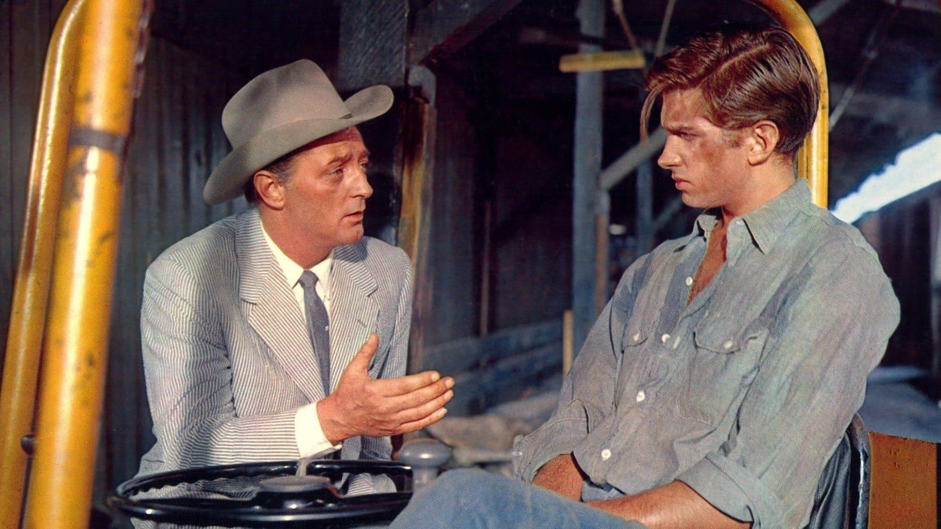 Poster backdrop for Home from the Hill