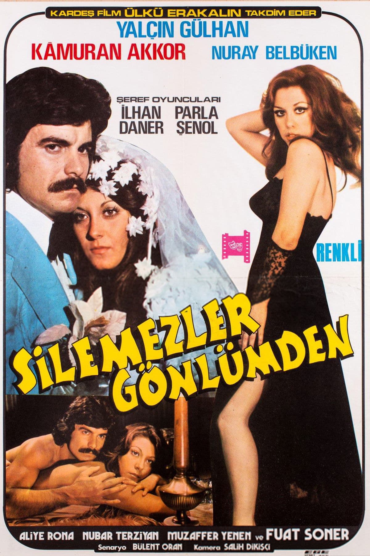 Poster backdrop for Silemezler Gönlümden