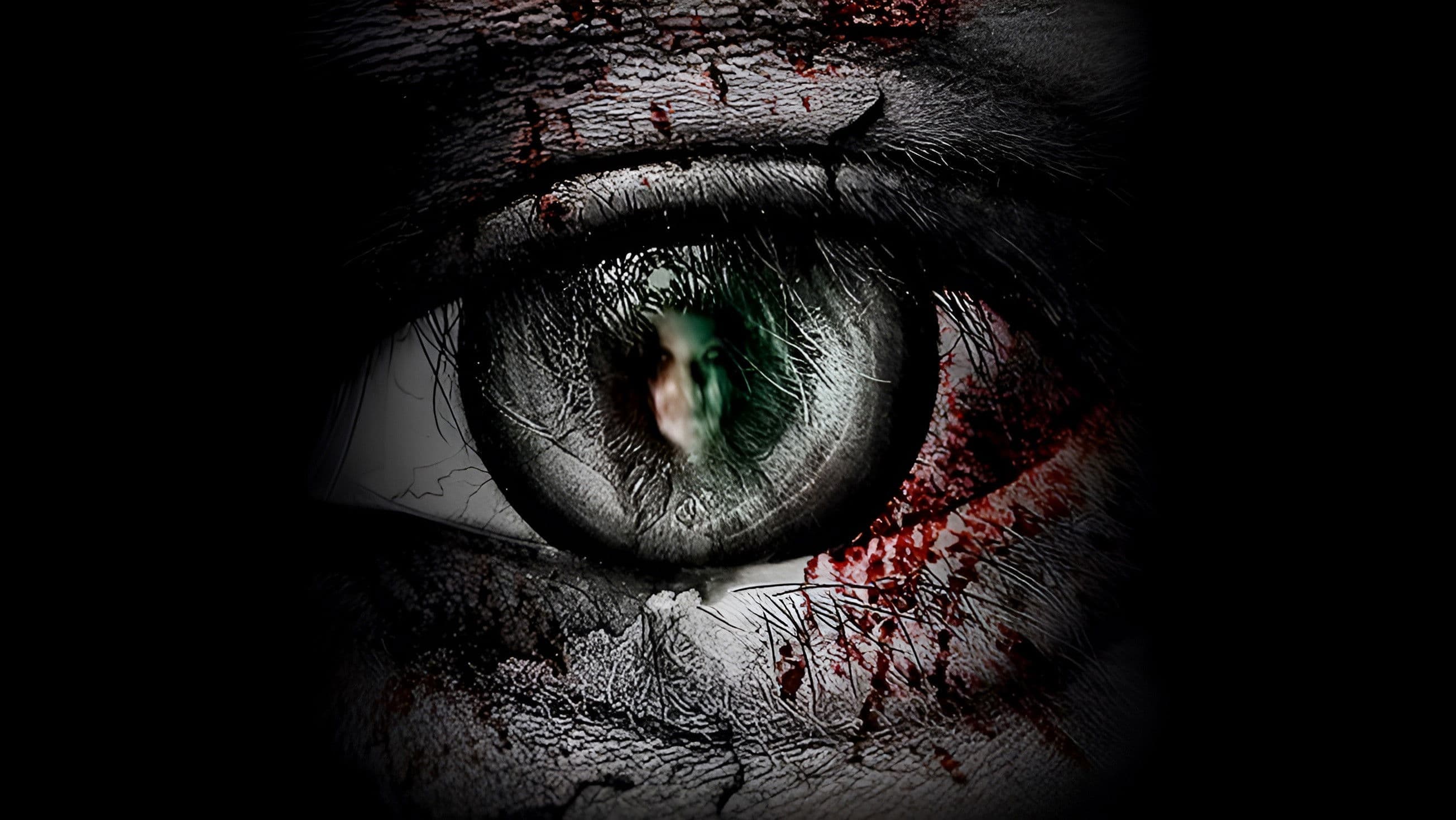 Poster backdrop for The Second Sight