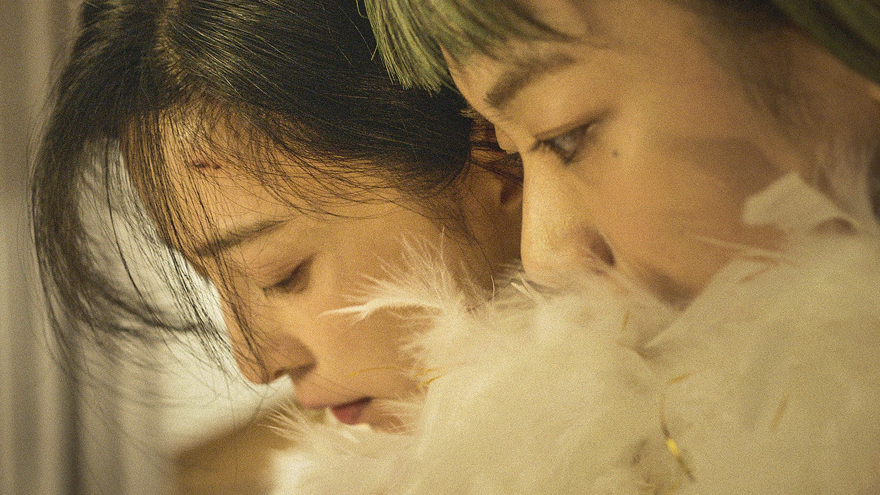 Poster backdrop for Green Night