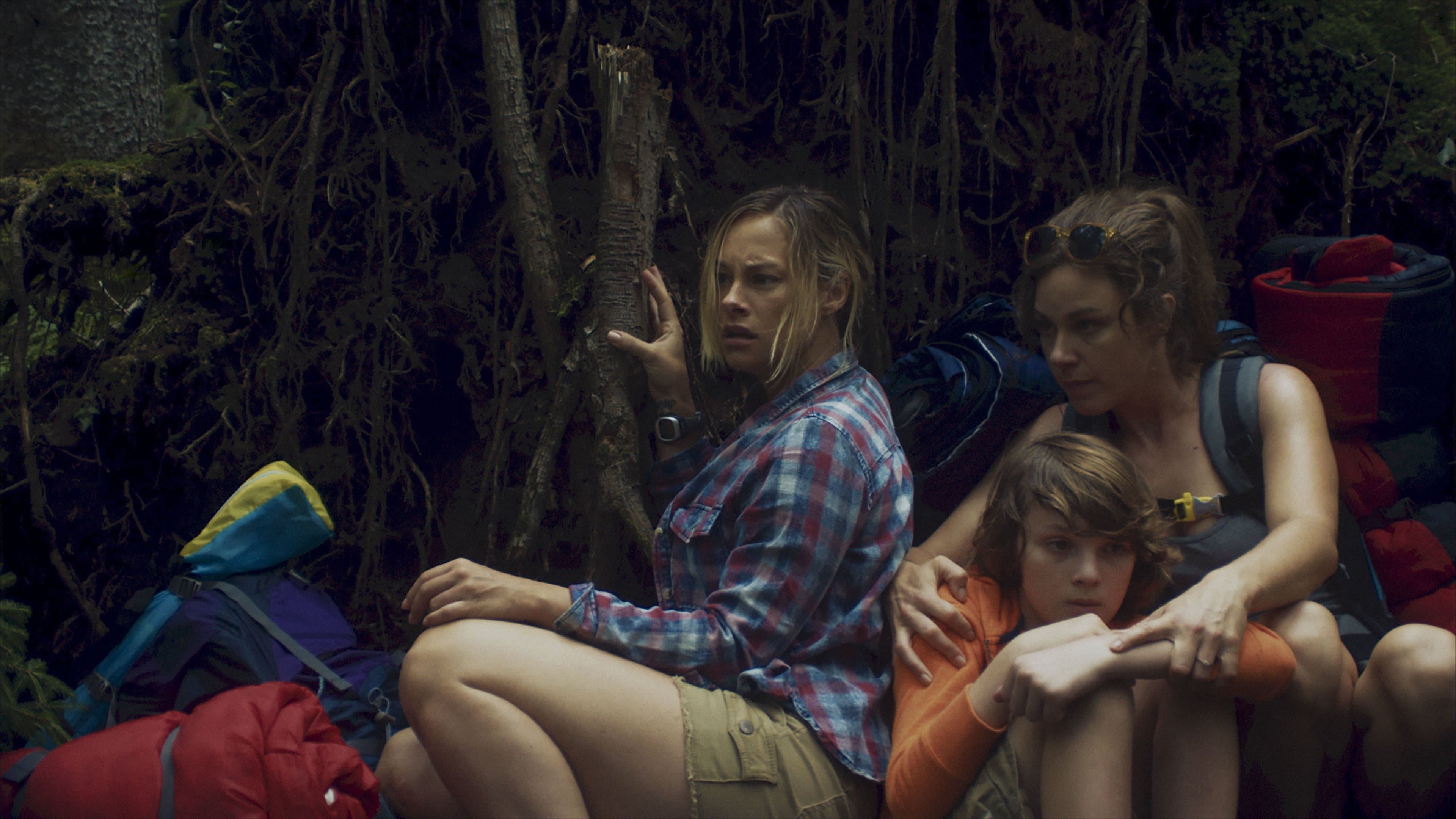 Poster backdrop for Desolation