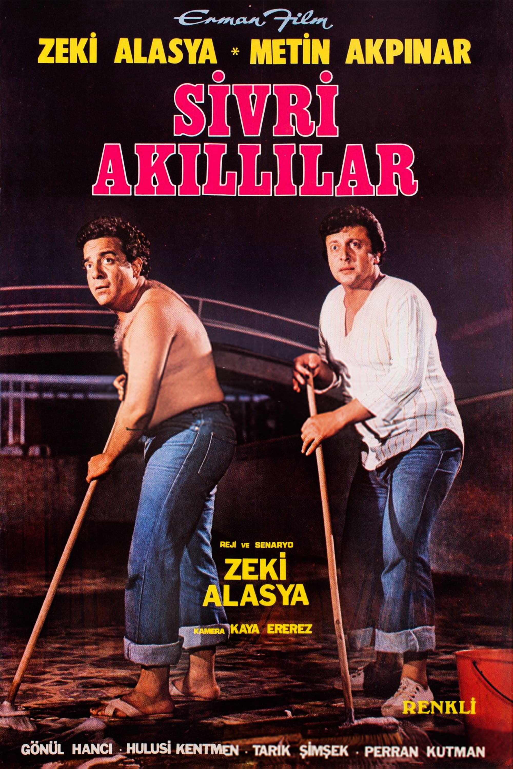 Poster backdrop for Sivri Akıllılar