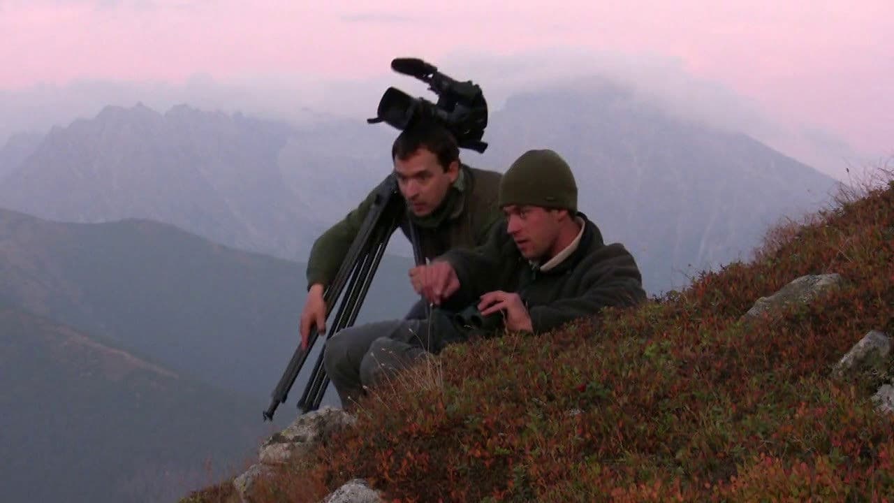 Poster backdrop for Strážca divočiny