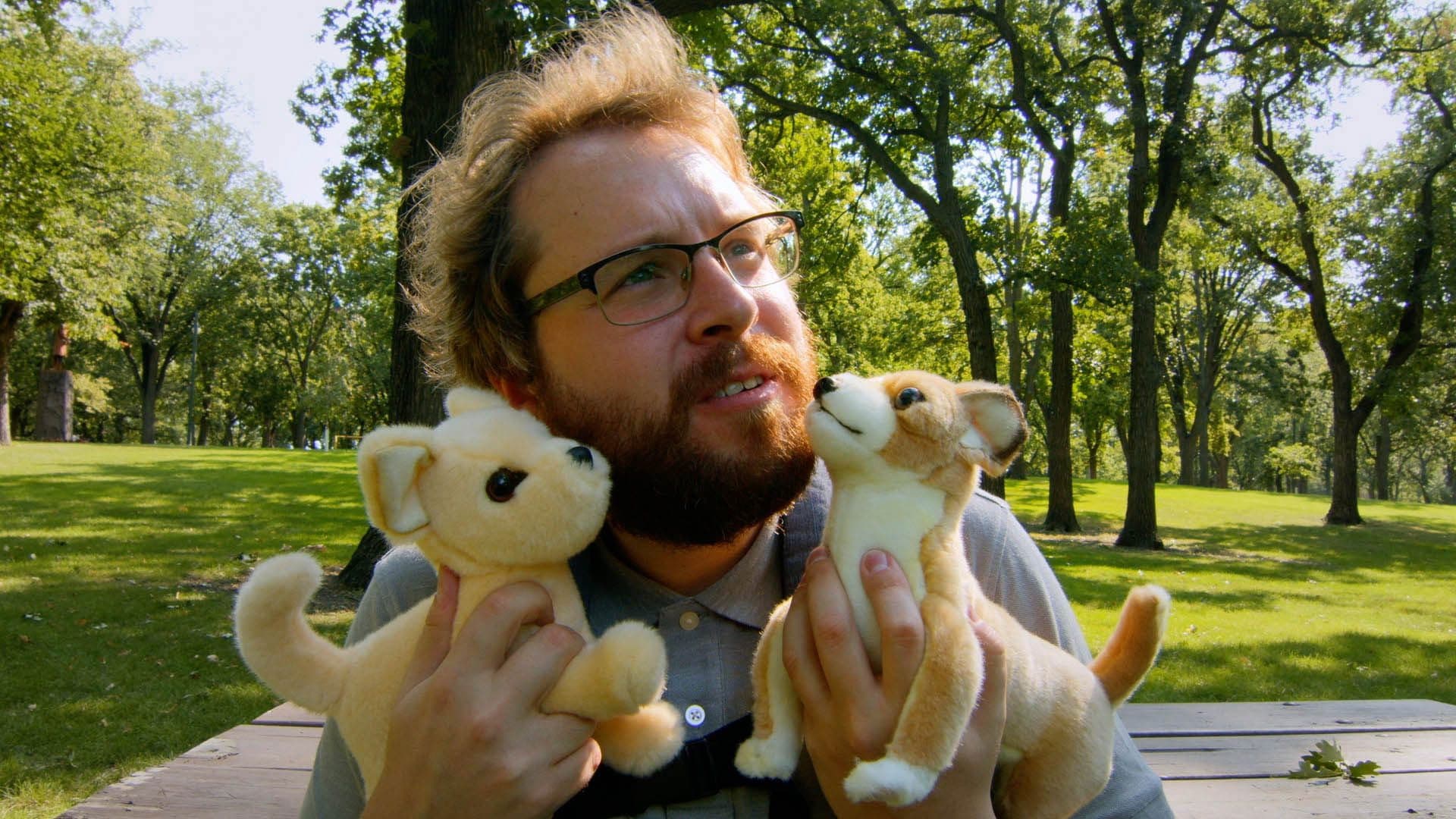 Poster backdrop for AJ Goes to the Dog Park