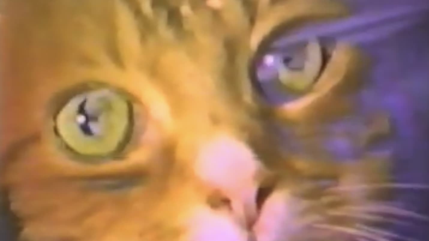 Poster backdrop for A Study In Scarlet