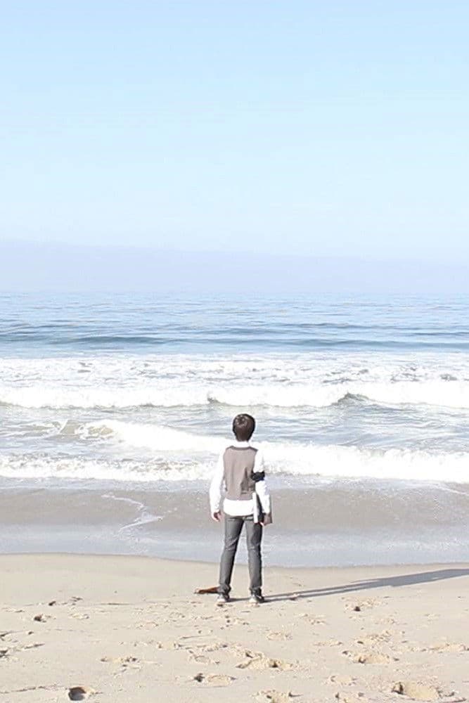 Poster backdrop for True Places Never Are