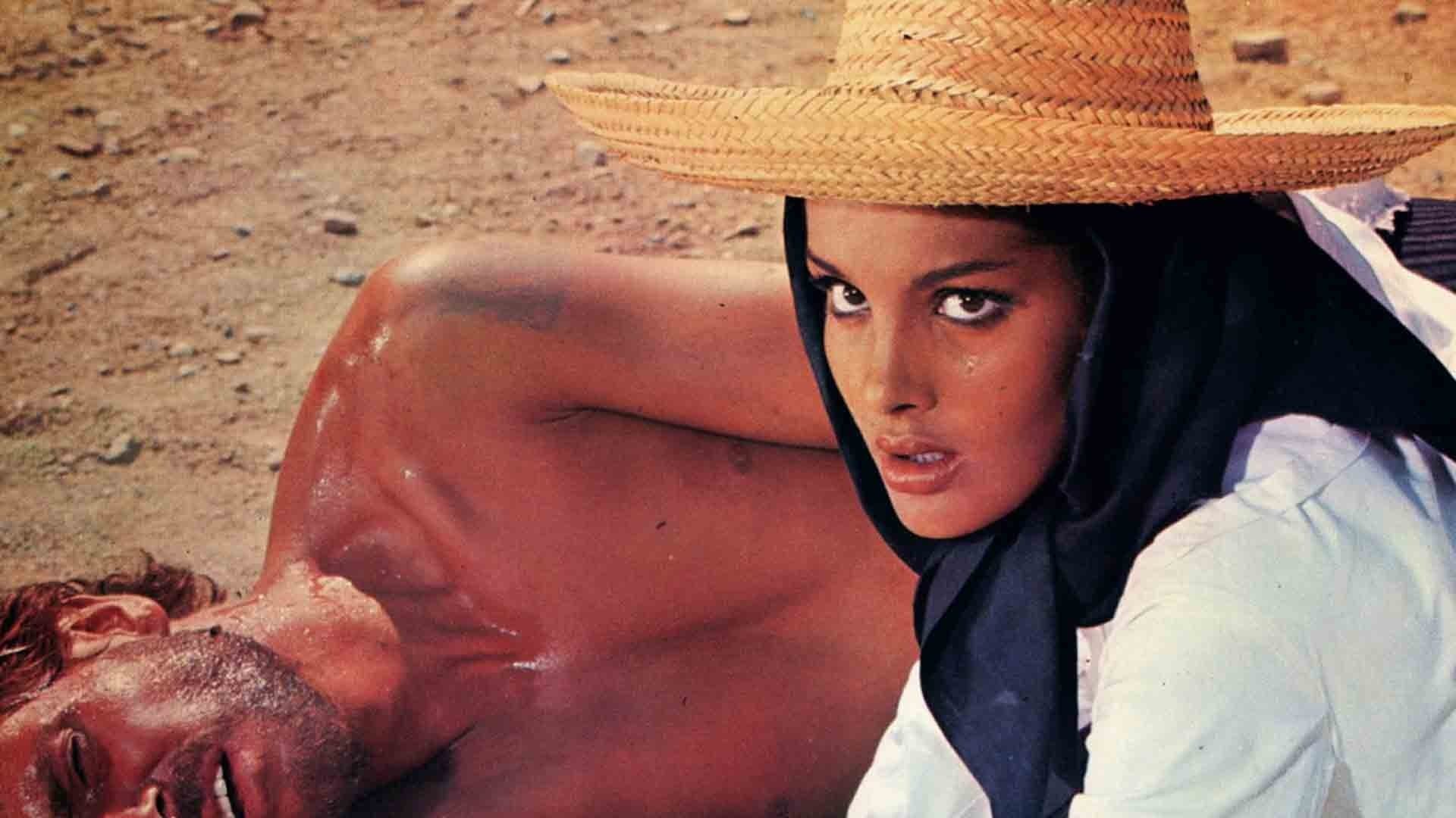 Poster backdrop for Seven Guns for the MacGregors