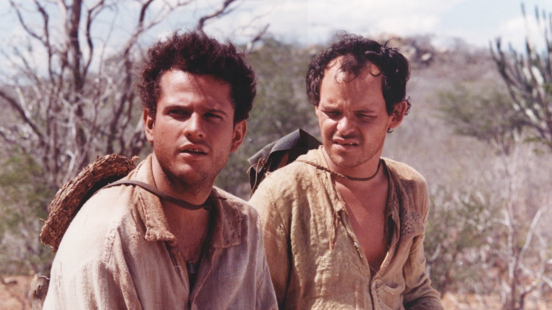 Poster backdrop for A Dog's Will